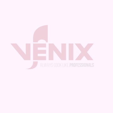 Logo Venix